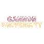 Gannon University logo